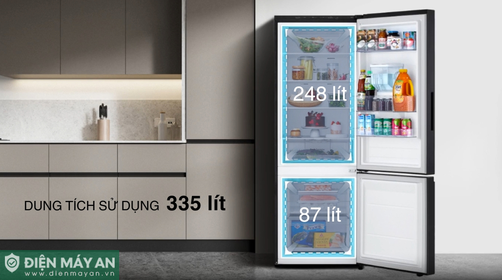Tủ lạnh LG Inverter 335 lít LBB33BLGA