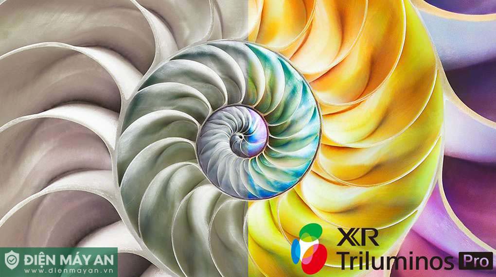 Google Tivi OLED Sony 4K 65 Inch XR-65A80L
