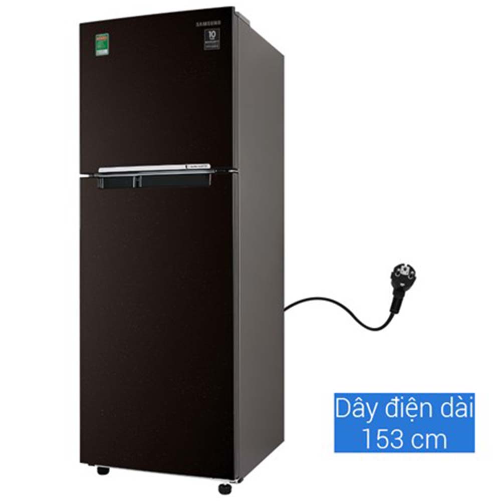 Tủ Lạnh Samsung Inverter 236 Lít RT22M4032BY/SV